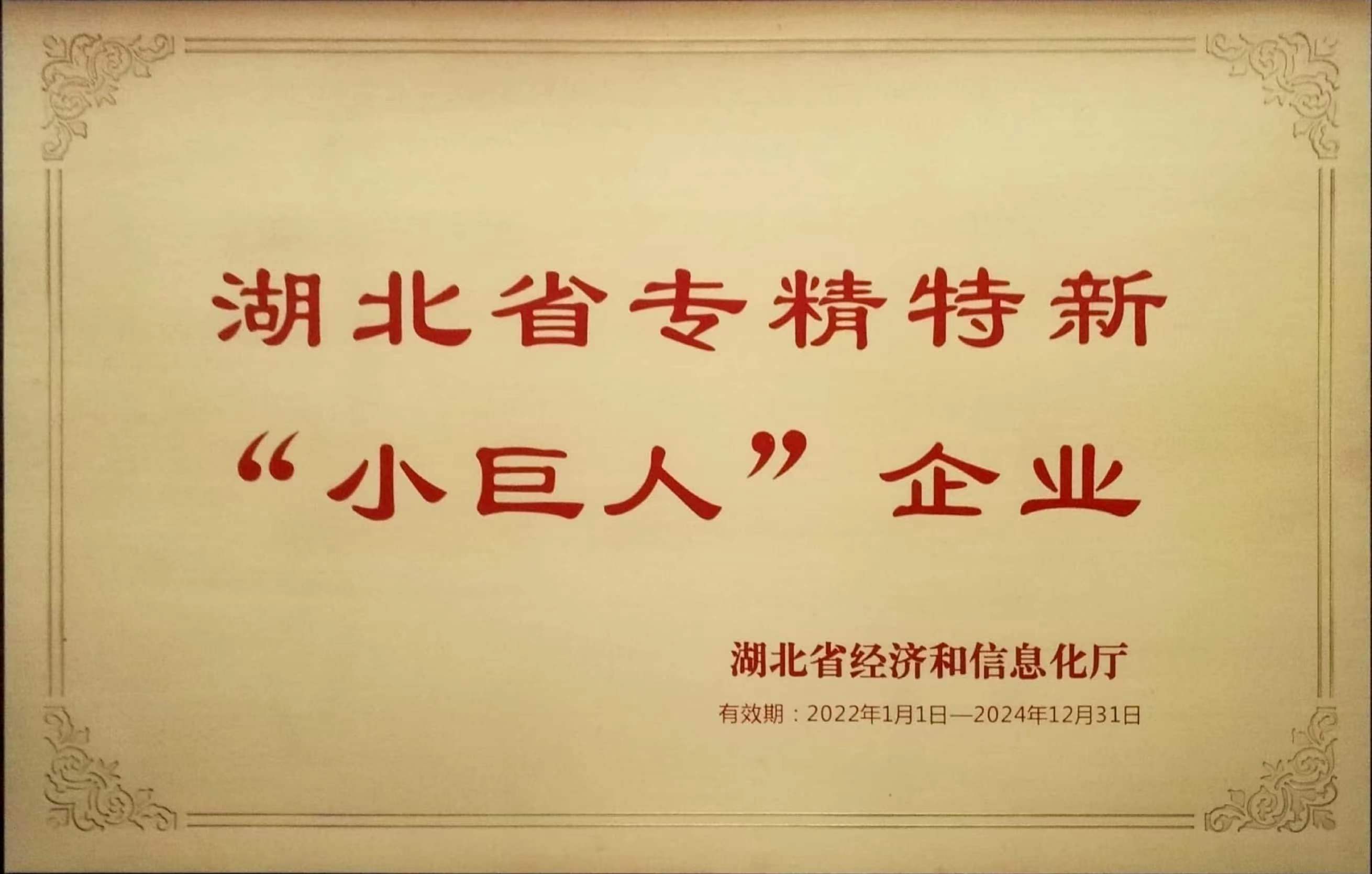 湖北省專(zhuān)精特新“小巨人”企業(yè)